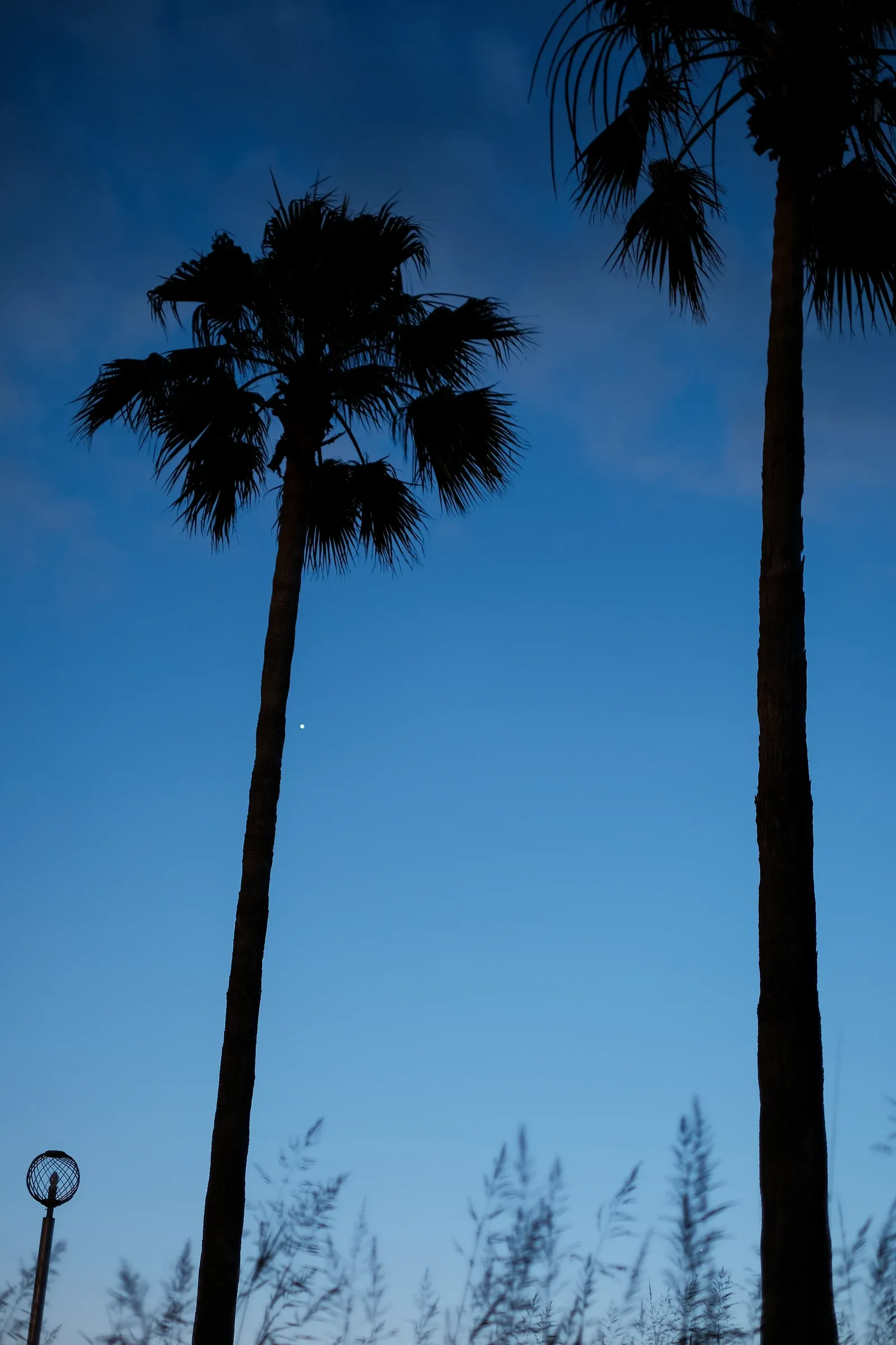 ギャラリー写真（Summer1）
