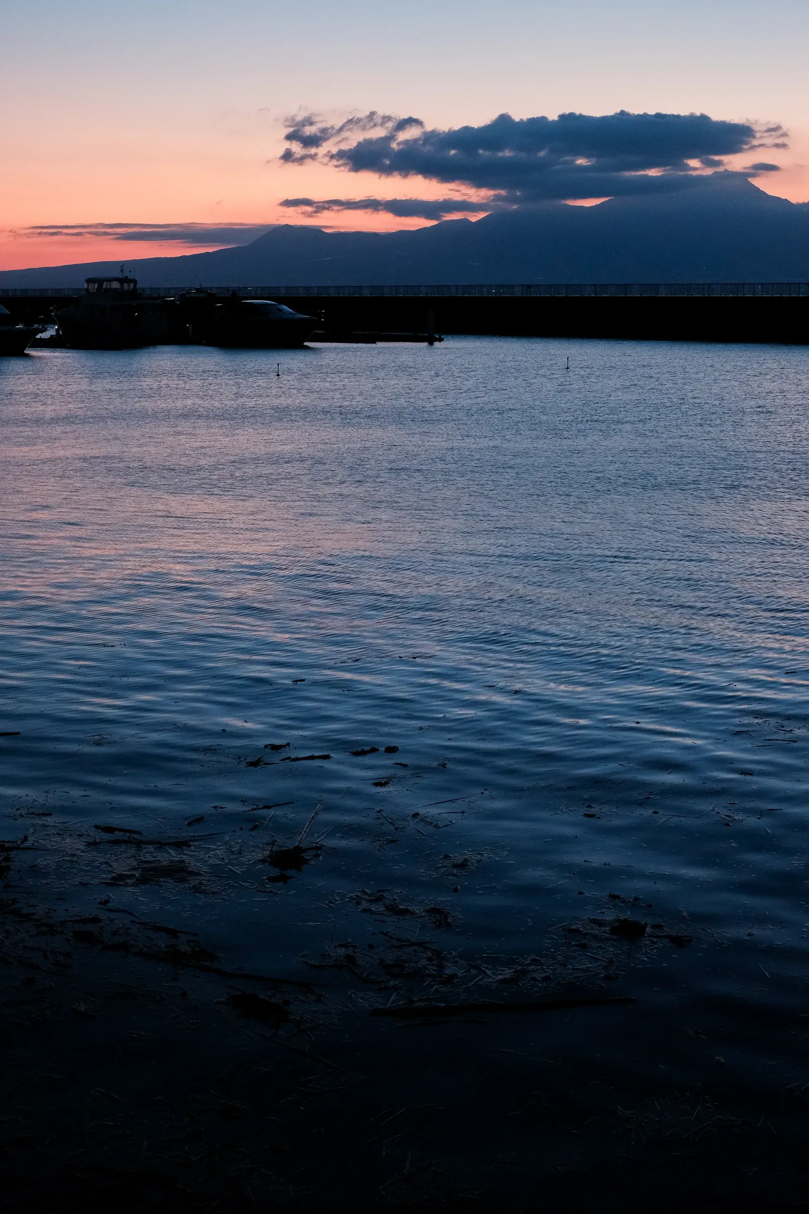ギャラリー写真（Summer2）